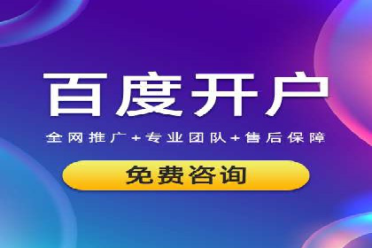 案例对比：SEO与SEM优化效果深度分析